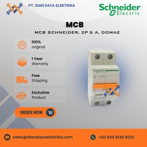 schneider 2p 6 a, domae mcb