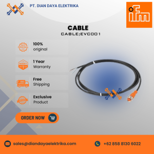 ifm cable type evc001